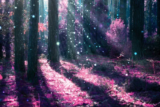 Picture