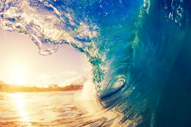 Picture